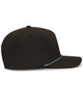 Black/Gingko